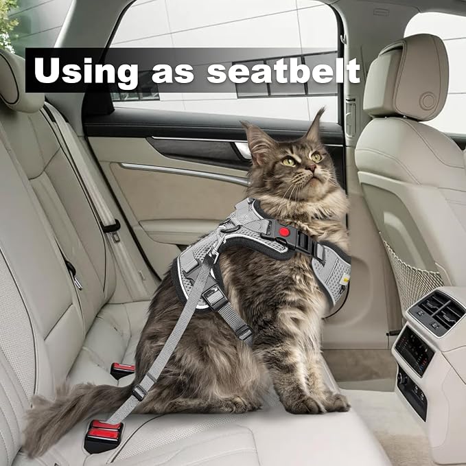 Cat Harness and Leash for Walking, Retractable Cat Harnesses and Leash Set - Image 6