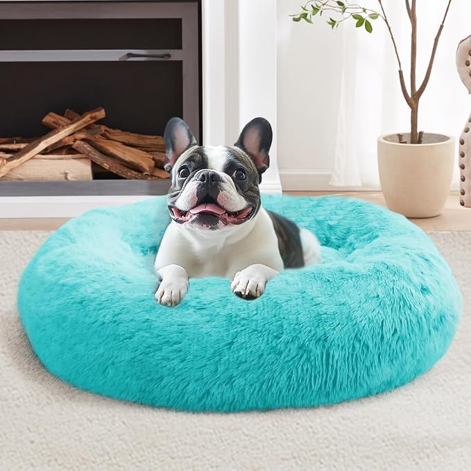 JOLLYVOGUE Calming Dog Bed Medium Size Dog, Anti-Anxiety Donut Medium Pet Bed by JOLLYVOGUE