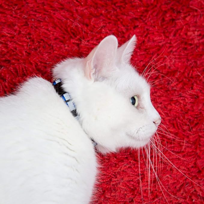 Reflective Cat Collar with Bell, Solid & Safe Collars - Image 6