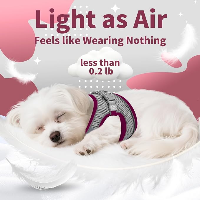 AIITLE Step in Dog Harness and Leash Set - Image 10