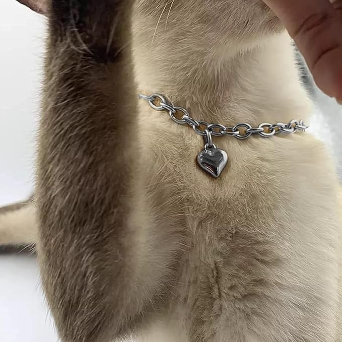 HOWWFALY Dog Collar and Cat Chain Necklace Stainless Steel Adjustable 18K - Image 8