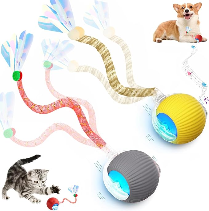 2 Packs Speed 2.0 Tail Interactive Cat Toys by Unknown