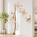 Cat Wall Shelves with 2 x 60 Inch Climbing Rope, Wall Mounted Cat Tree with by Unknown