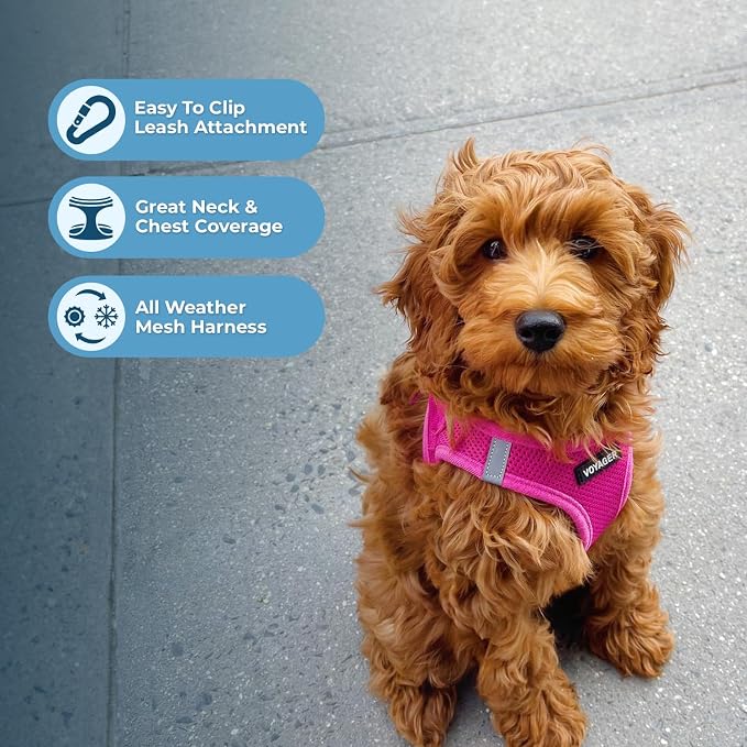 Best Pet Supplies Voyager Step-in Air All Weather Mesh Harness and Reflective - Image 5