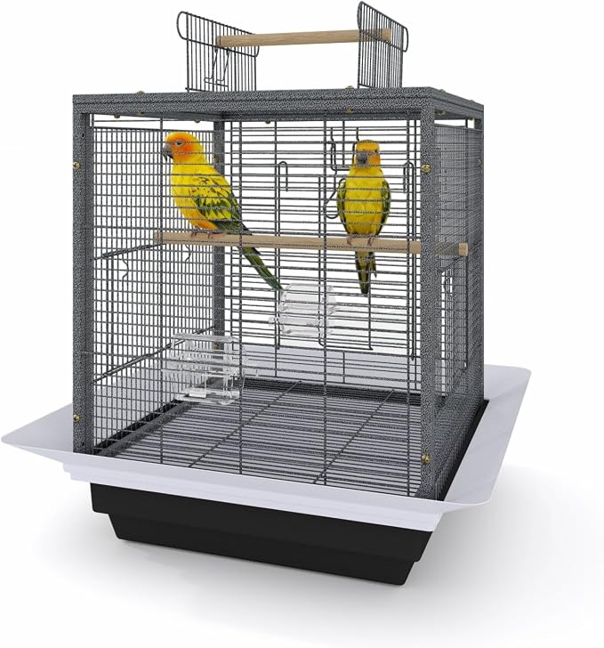 Garvee Small Bird Cage with Playground Stand, 20 Inch High Travel Bird Cage by Garvee
