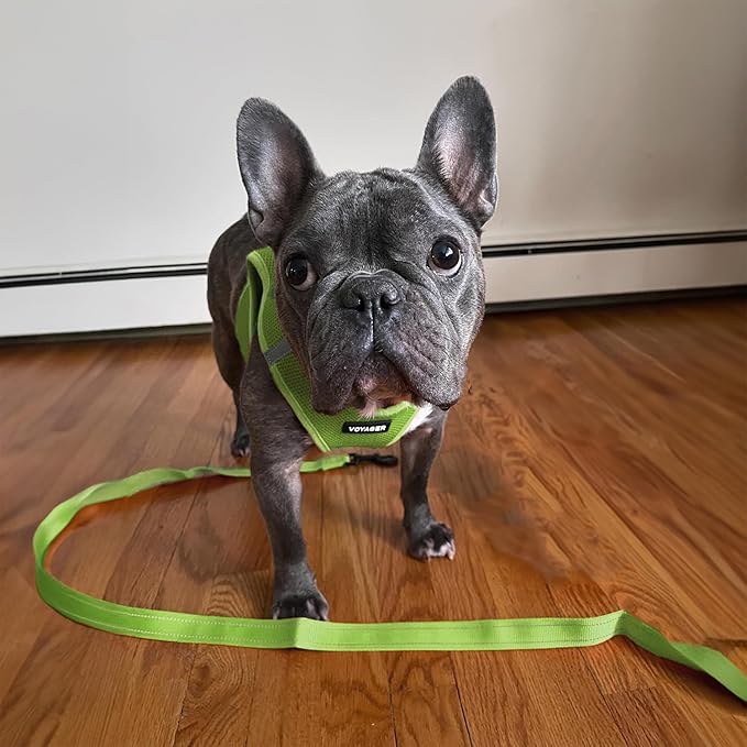 Best Pet Supplies Voyager Reflective Dog Leash or Collar - Image 4