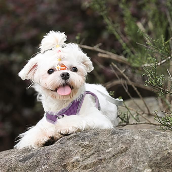 AIITLE Escape Proof Dog Harness - Image 9