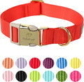 Nylon Dog Collar by Babolepet