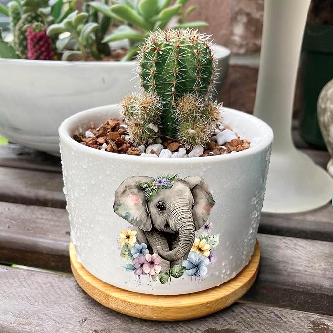 Elephants Succulent Pots 3 Pack, 3 Inch Succulent Planters - Image 6