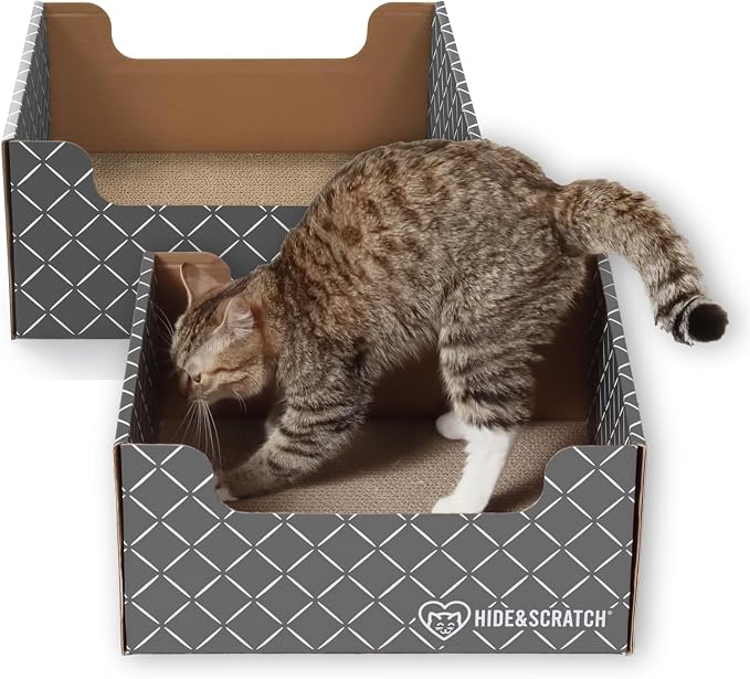 Hide & Scratch Cardboard Cat Scratcher Box & Bed by HideScratch
