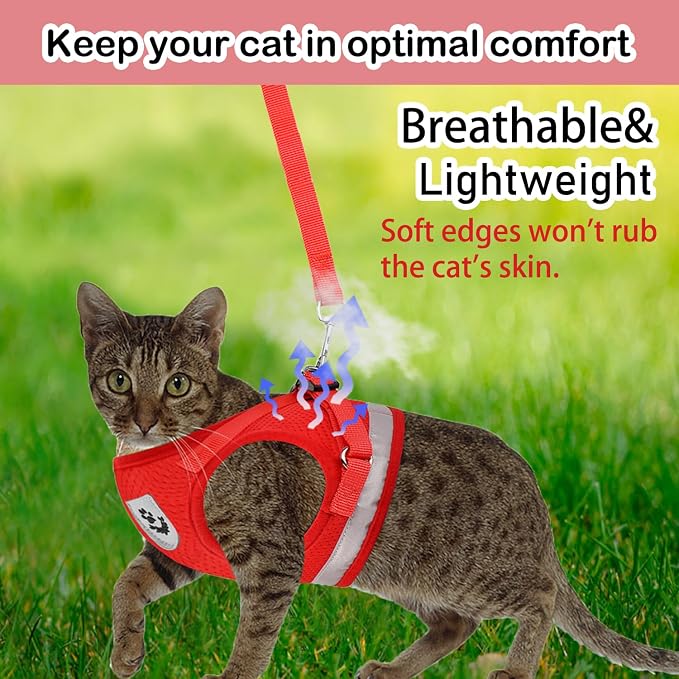 Cat Harnesses and Puppy Harness - Image 2