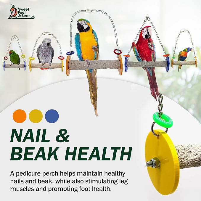 Sweet Feet and Beak Bird Swing - Image 5