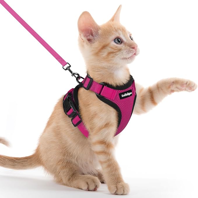 rabbitgoo Cat Harness and Leash by rabbitgoo