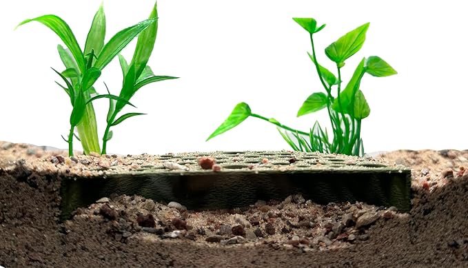 Shrimp Breeding Protector | Shrimp Breeding Cave Aquarium Tunnel | CTWPets - Image 7