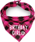 Birthday Plaid Dog Bandana by ZIRVYIR