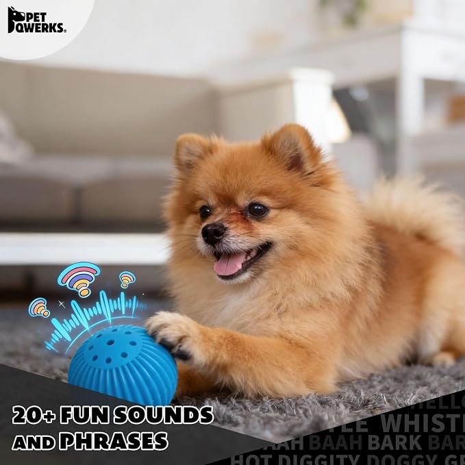Pet Qwerks Talking Babble Ball - Image 4