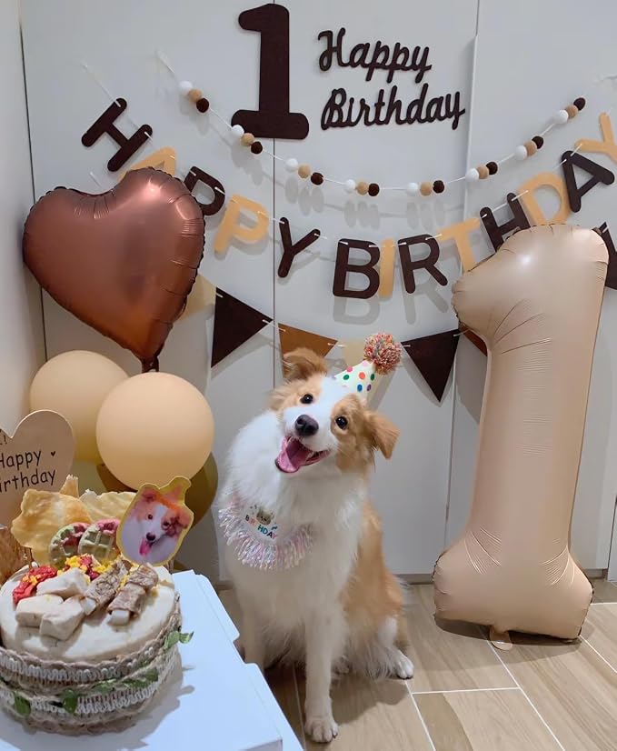 Dog Princess Costumes Puppy Birthday Bandana Scarf and Party Hat Cute Lace Dog - Image 3