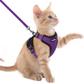 rabbitgoo Cat Harness and Leash by rabbitgoo