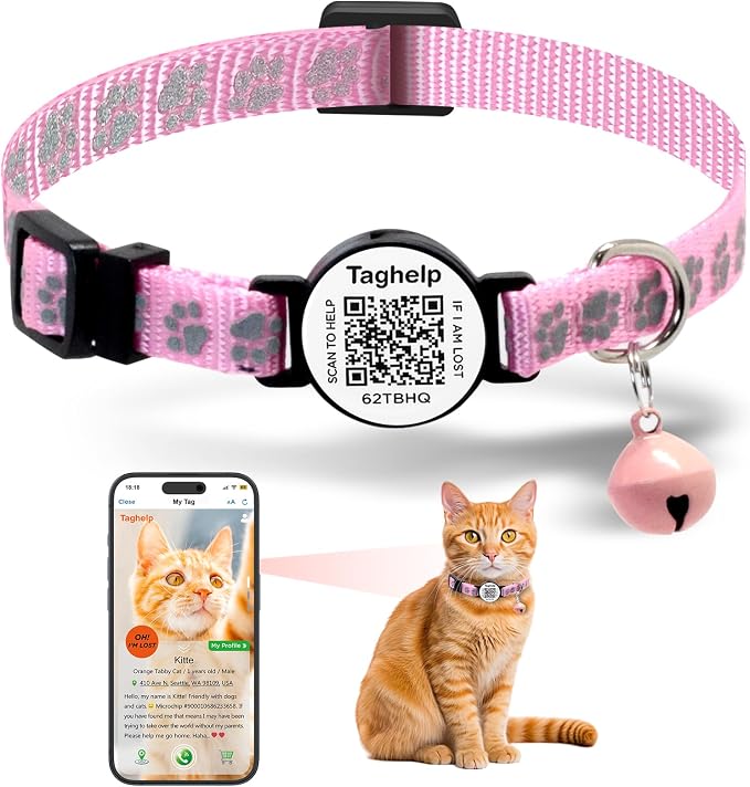 Personalized Cat Collar with Name TAG, Adjustable Tough Nylon Cat ID Collars by Taghelp