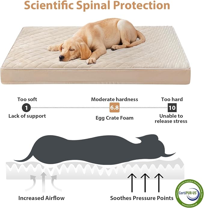 WNPETHOME Orthopedic XXL Dog Beds Large Sized Dog, Waterproof Extra Large Dogs - Image 3