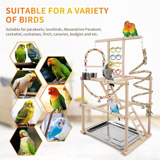 Bird Playground, Parrots Playstand - Image 5