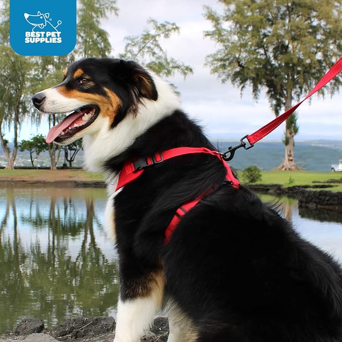 Voyager Step-in Pet Harness - Image 9