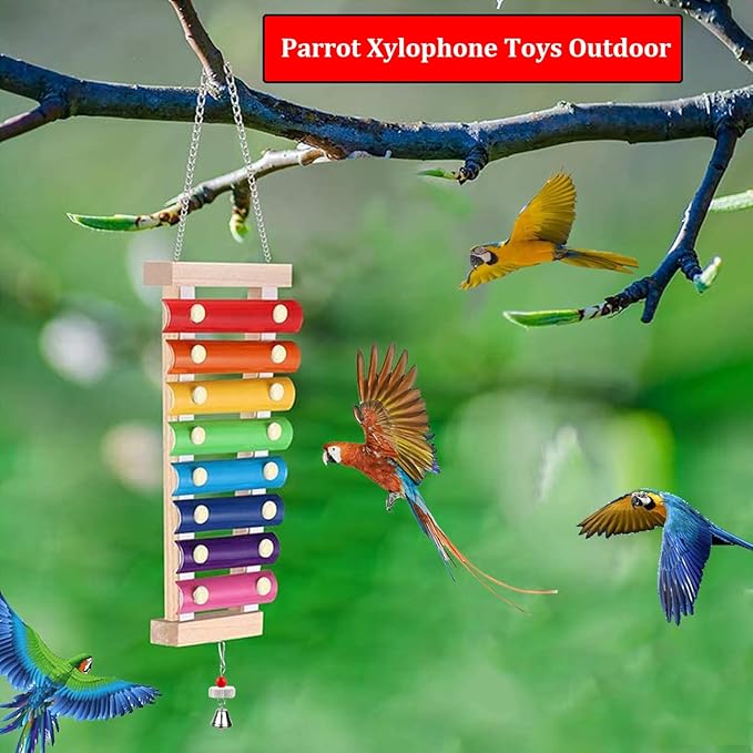 Large Parrot Suspensible Xylophone Toy, Medium Birds, African Grey - Image 3