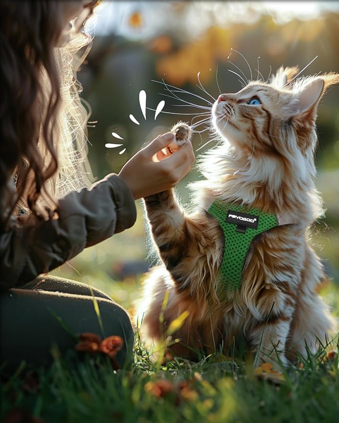 FAYOGOO Cat Harness and Leash Set | Upgrade Step-in Escape Proof Harness | - Image 7