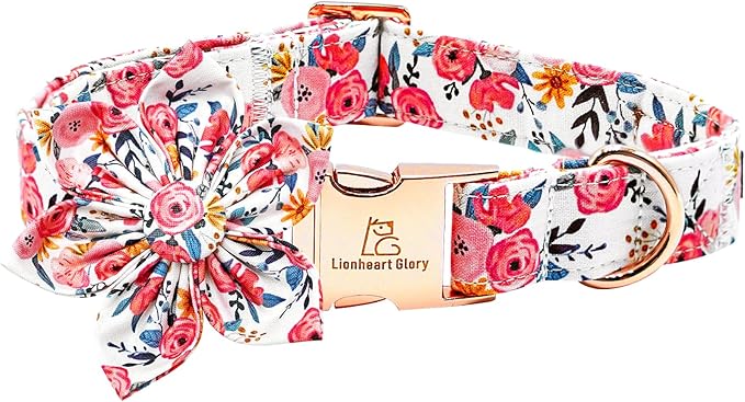 Lionheart Glory Floral Dog Collar by LionheartGlory