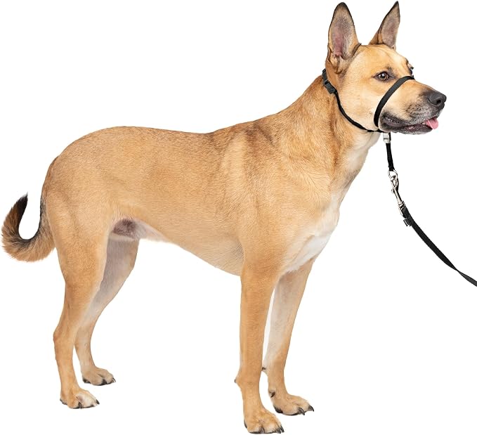 PetSafe Gentle Leader Headcollar No-Pull Dog Collar by PetSafe