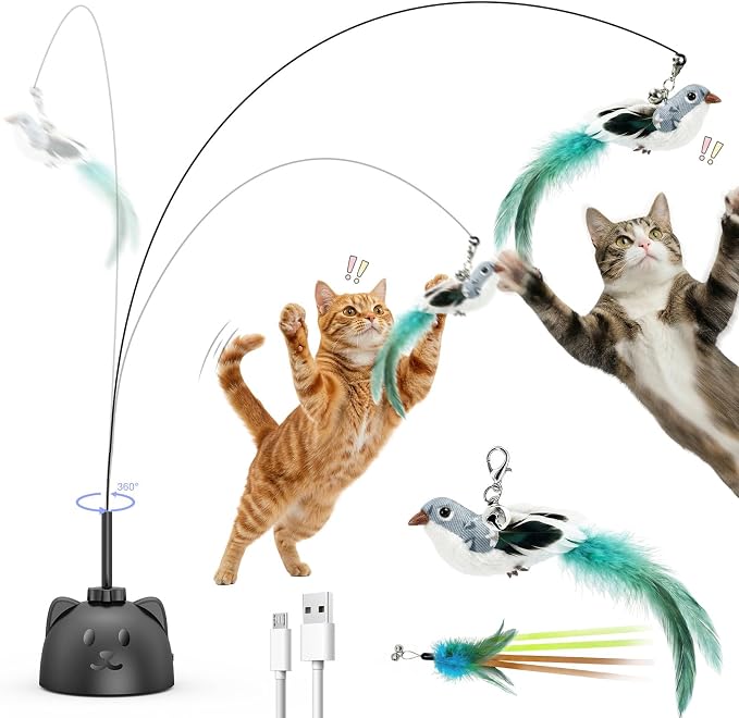 Interactive Cat Toys for Indoor Cats by Unknown
