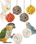 Bissap 6PCS Small Parrot Chew Toys, Sola Balls Conure Chewing Foraging Toys by Bissap