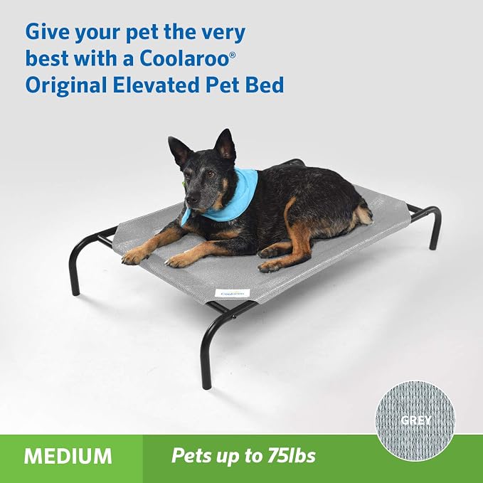 Coolaroo Original Elevated Dog Bed - Image 2