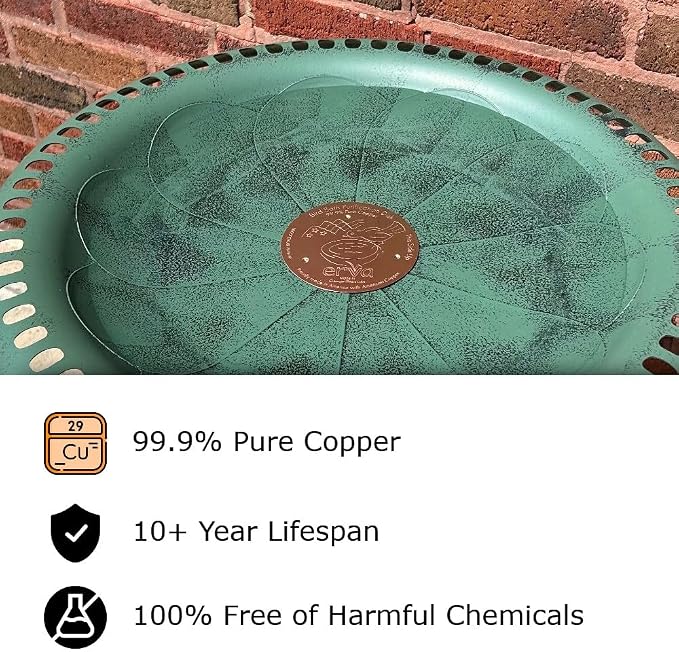 Erva 3-Pack Copper Bird Bath Purification Disk - Image 2