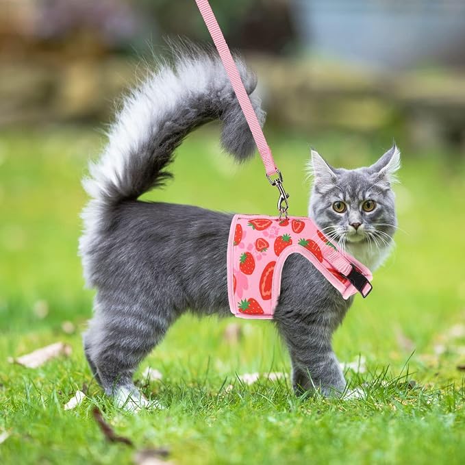 PUPTECK Soft Mesh Cat Vest Harness and Leash Set Puppy Padded Pet Harnesses - Image 6