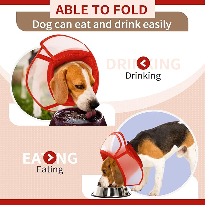 Allroaring Dog Cone, Soft Dog Cones - Image 3