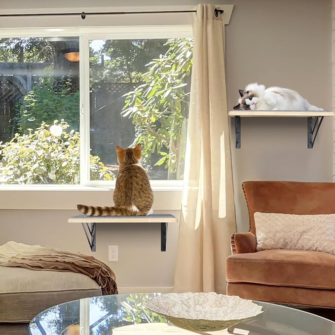 Burlywood Cat Furniture Indoor Set of 2: Wood Shelves - Image 6