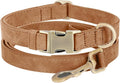 Genuine Leather Dog Collar by HOME