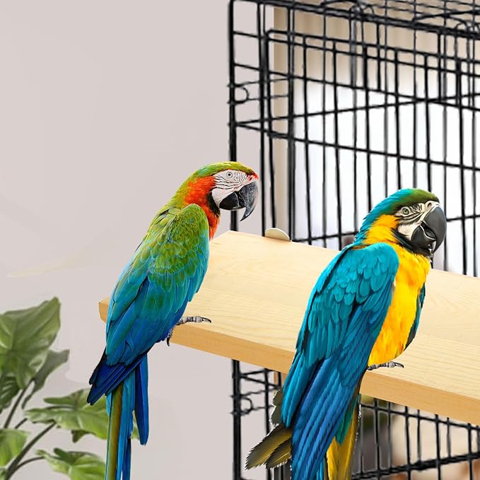 4 Pack 5 x 12 Inches Bird Perches - Image 5