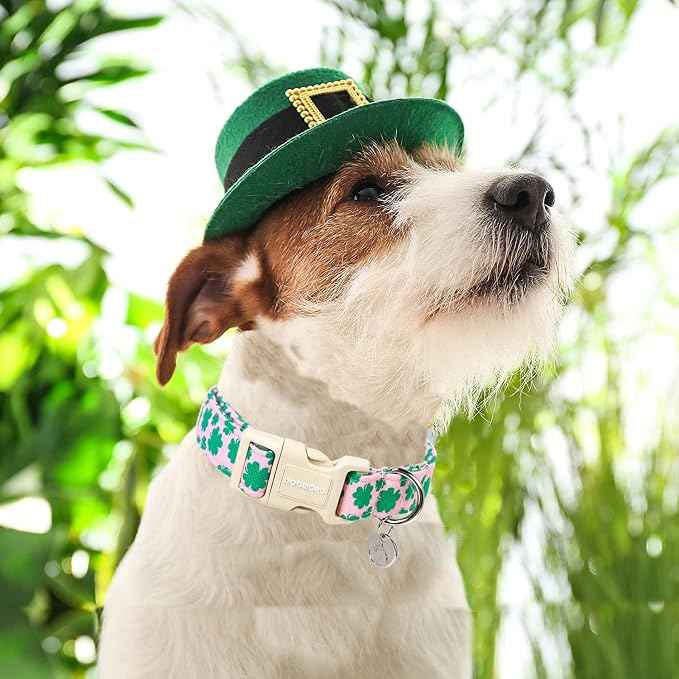 DOGWONG St. Patrick's Day Dog Collar