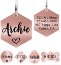 Ultra Joys Custom Personalized Dog ID Tag by UltraJoys