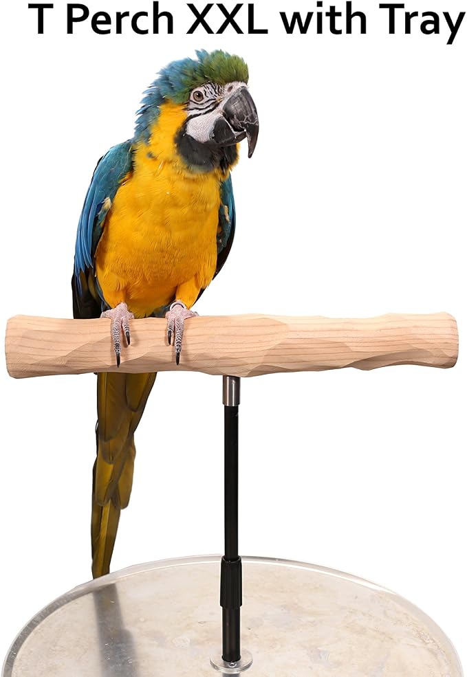 Parrot Training Perch Stand - Image 2