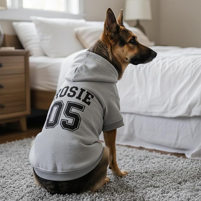 Personalized Dog Hoodie with Name/Text, Custom Embroidered or Printed Dog - Image 2