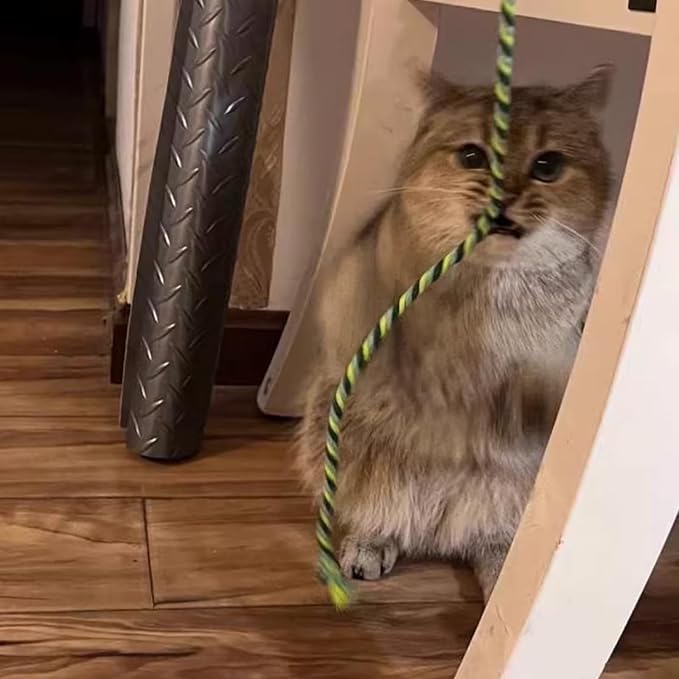 Cat Wand Toys - Image 6