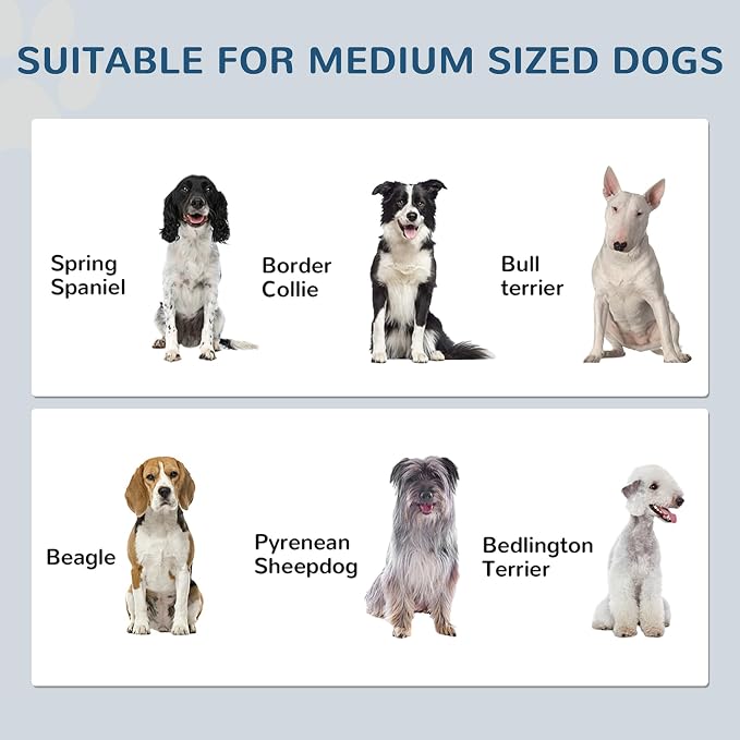 PawHut Pet Feeding Station, Elevated Dog Bowls, Dog Food Storage Cabinet - Image 4