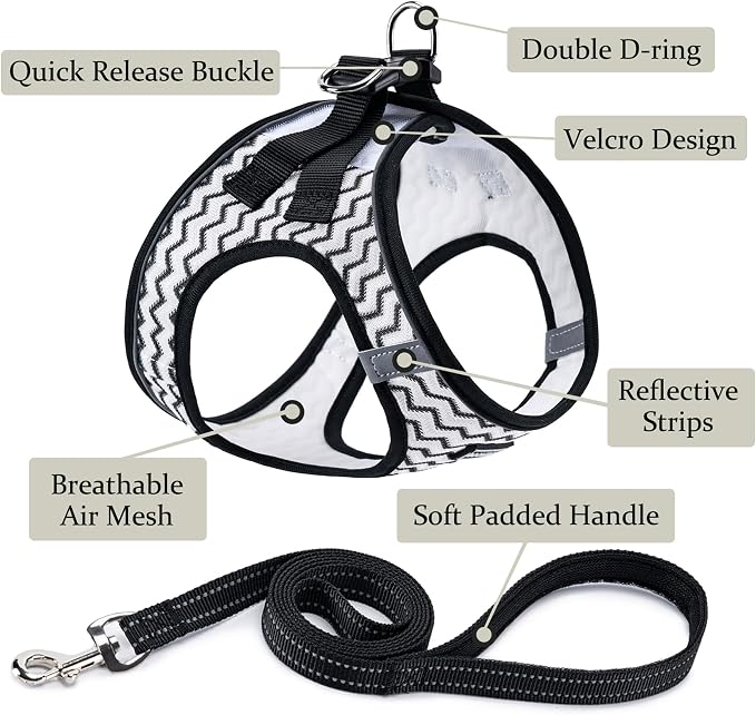 BOOMIBOO Dog Harness with Leash Set, No Pull Adjustable Reflective Step-in - Image 2