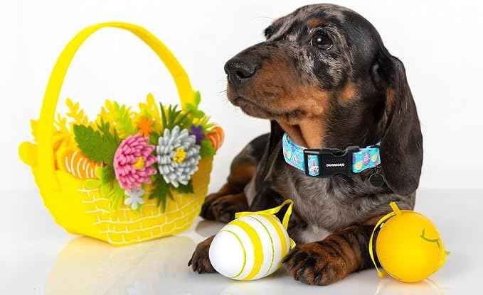 DOGWONG Easter Dog Collar, Colorful Egg Dog Collar Soft Durable Adjustable