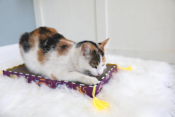 FAT CAT Big Mama's Scratch Cat Toy Box Includes 100% Organic Catnip Grown In - Image 4