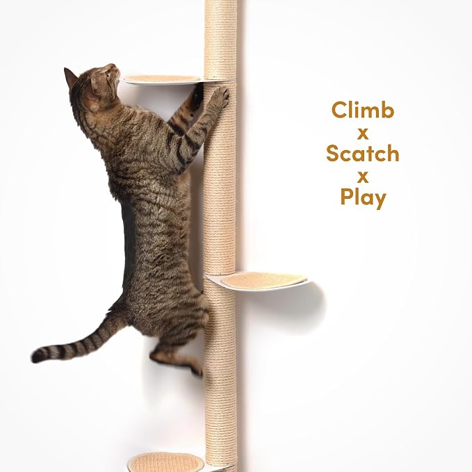 68" Tall Wall-Mounted Cat Tree – Modern Space-Saving Cat Shelf - Image 5