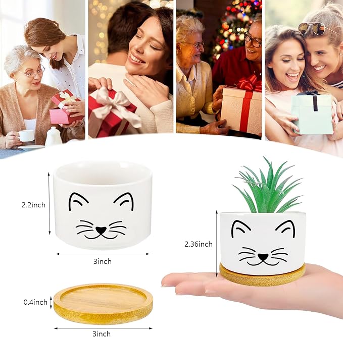 Window Garden Cat Planter Pots, Cat Gifts - Image 4